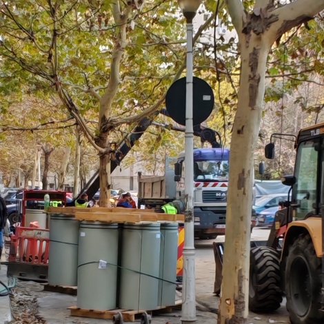 MOISE NICOARA IMG_20241106_120914