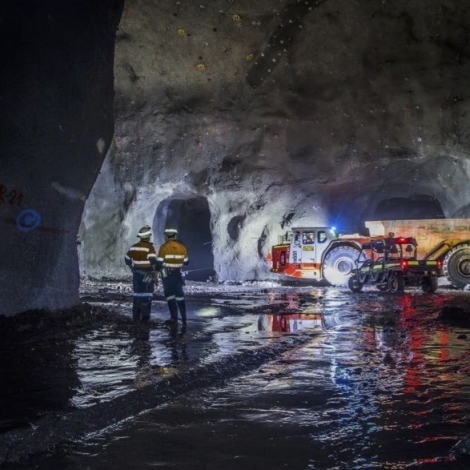 consolidare mongolia